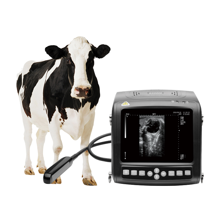 vet ultrasound 5200_3.jpg vet ultrasound 5200_3.jpg