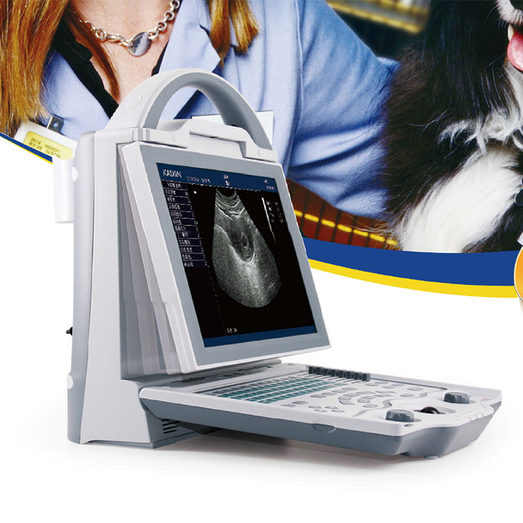 vet ultrasound 5600_6.JPG