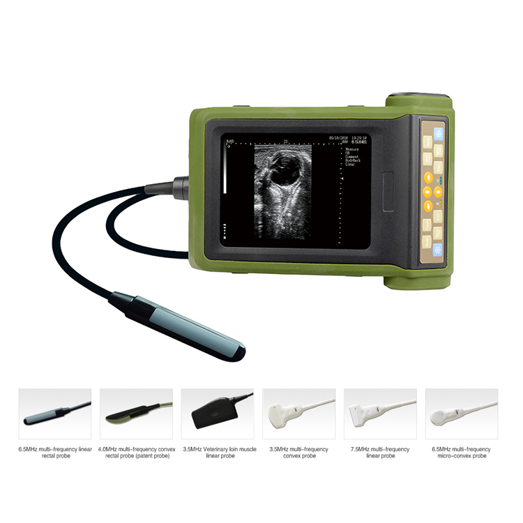 vet ultrasound RKU10_8.jpg