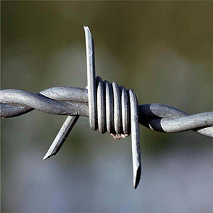barbed wire 300 (1)