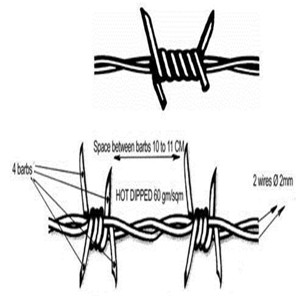 barbed wire  600 (3)