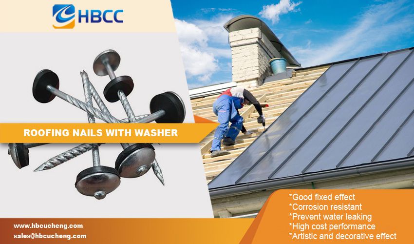 Advantage Galvanized Roofing Nails with Washer