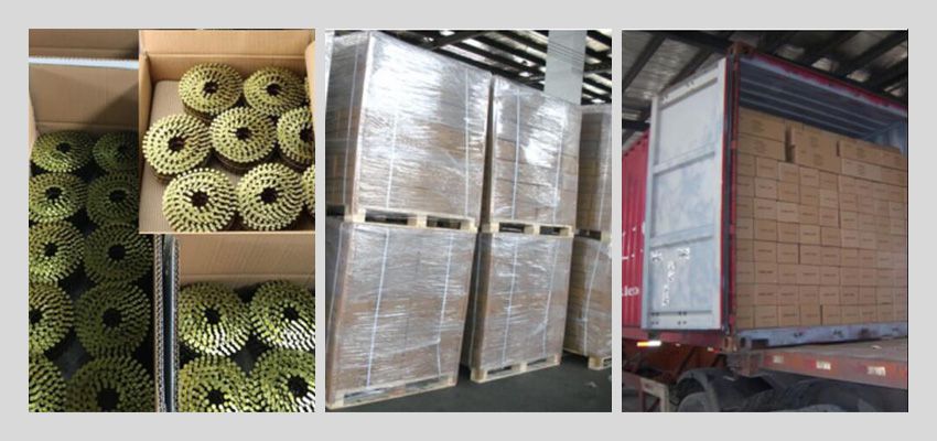 galvanized coil nails package galvanized coil nails package