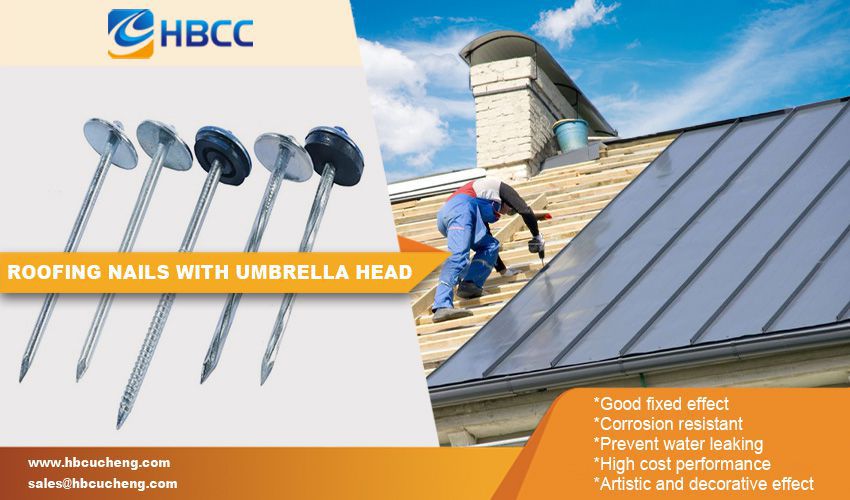 umbrella roofing nails advantage umbrella roofing nails advantage