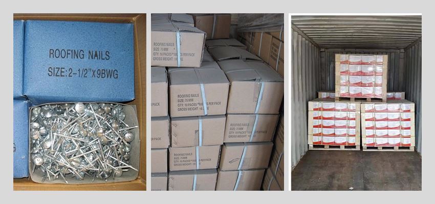 umbrella roofing nails loading container umbrella roofing nails loading container